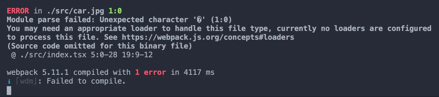 Webpack image error